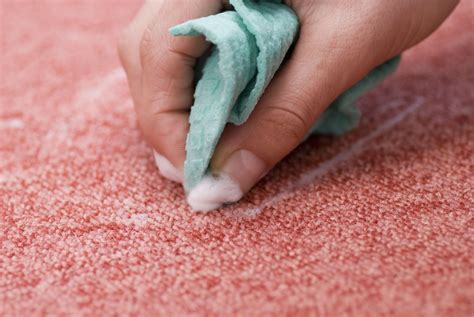 The Versatility of Oxi Carpet Cleaners: More Than Just Stain Removers